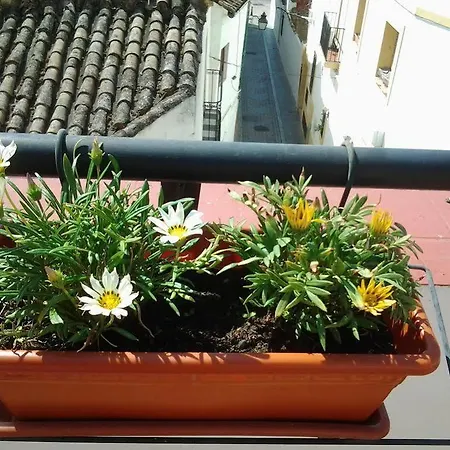 Casa de hóspedes Azahar Córdova