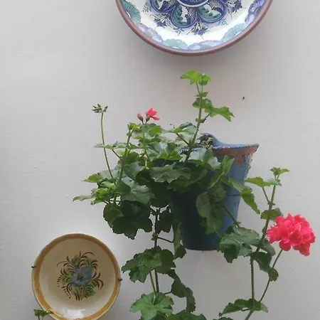 Azahar Guest house 2*