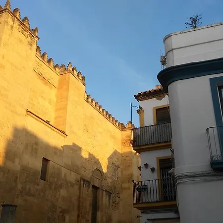 Guest house Azahar 2*